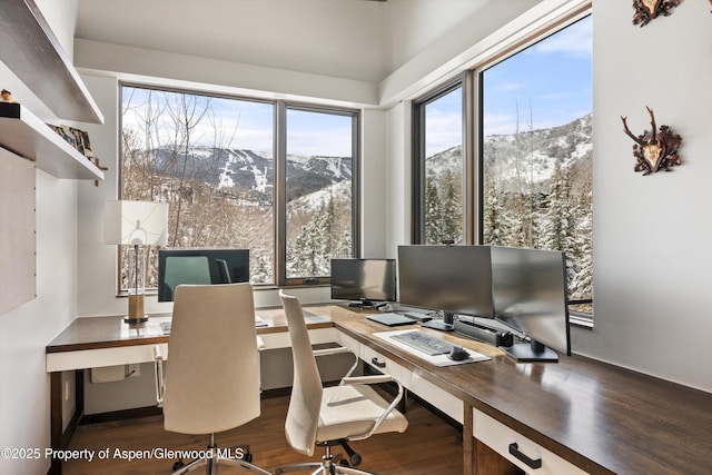 office with dark wood-type flooring