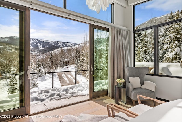 doorway with a mountain view and hardwood / wood-style floors