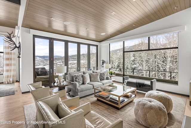 living room featuring a mountain view, light wood-type flooring, vaulted ceiling, and a healthy amount of sunlight