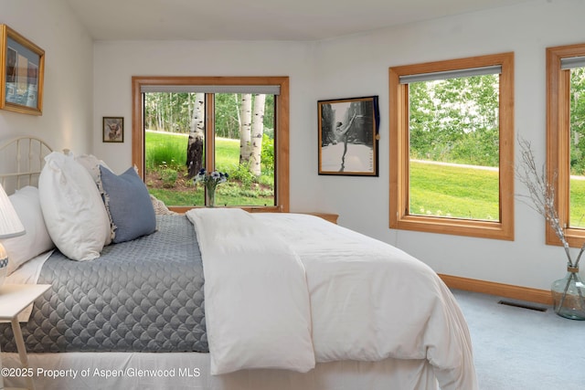 221 Stellar Ln, Snowmass Village, CO 81615 - photo 29