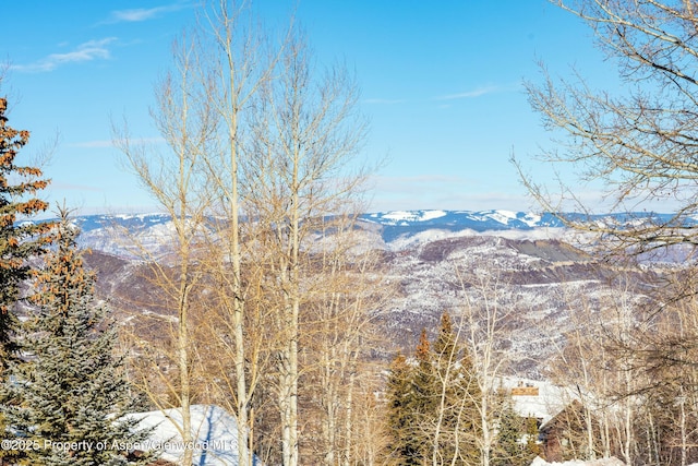221 Stellar Ln, Snowmass Village, CO 81615 - photo 51