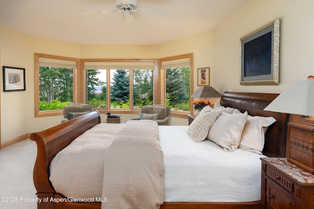 221 Stellar Ln, Snowmass Village, CO 81615 - photo 27