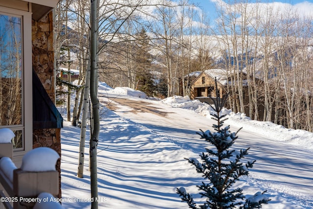 221 Stellar Ln, Snowmass Village, CO 81615 - photo 52