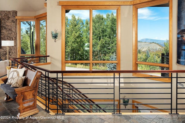 221 Stellar Ln, Snowmass Village, CO 81615 - photo 6