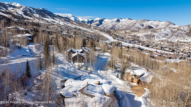 221 Stellar Ln, Snowmass Village, CO 81615 - photo 53