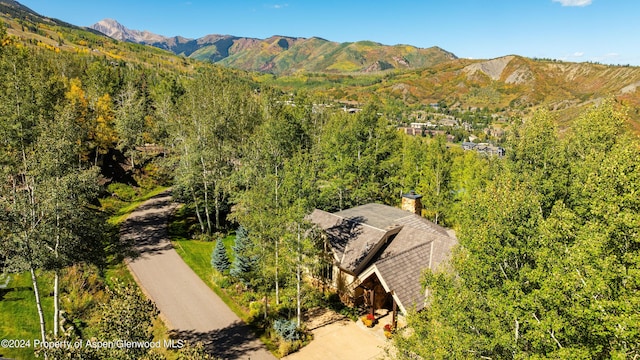 221 Stellar Ln, Snowmass Village, CO 81615 - photo 33