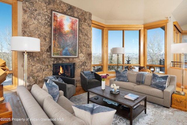 living room with a large fireplace and wood-type flooring