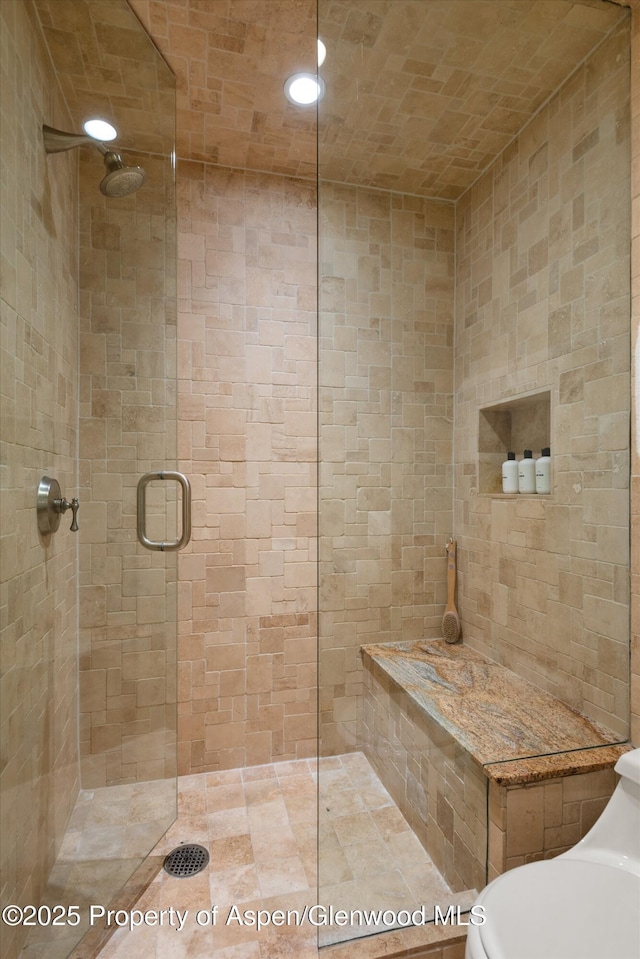 610 S W End St Unit D203, Aspen, CO 81611 - full bath with a stall shower and toilet