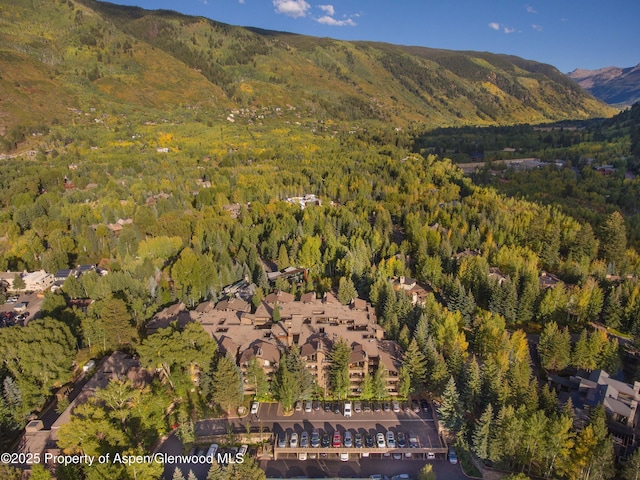 610 S W End St Unit D203, Aspen, CO 81611 - aerial overview of property's location with a heavily wooded area and a mountainous background