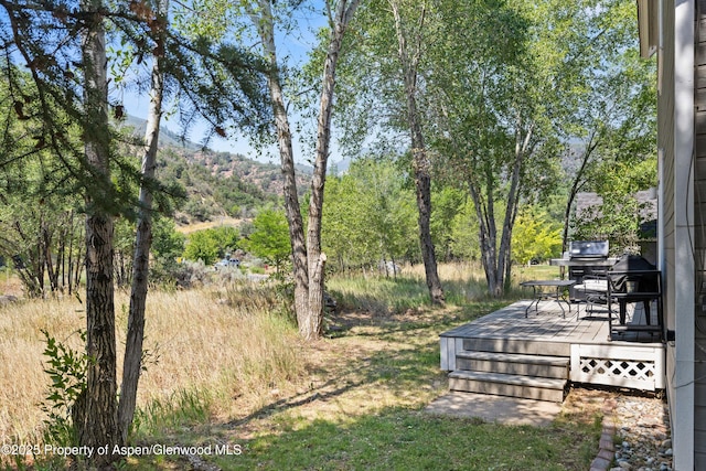 4277 Culver Cir, Glenwood Springs, CO 81601 - photo 27