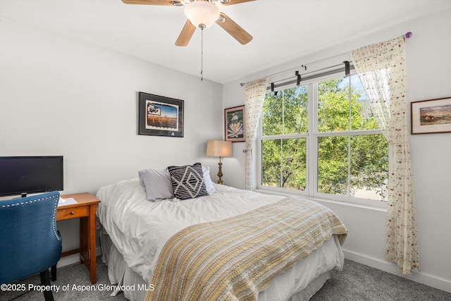 4277 Culver Cir, Glenwood Springs, CO 81601 - photo 14