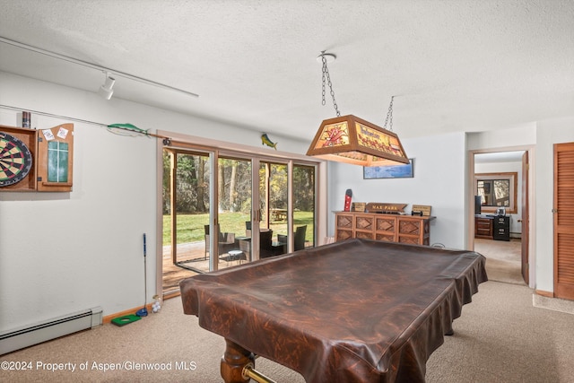 253 Liberty Ln, Woody Creek, CO 81656 - photo 29