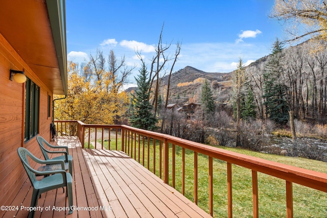 253 Liberty Ln, Woody Creek, CO 81656 - photo 15