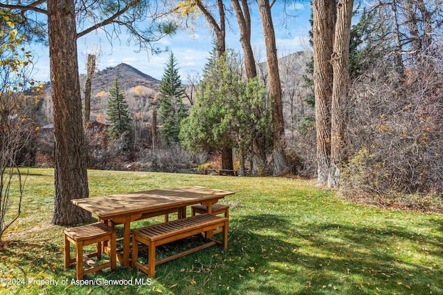 253 Liberty Ln, Woody Creek, CO 81656 - photo 8