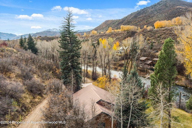 253 Liberty Ln, Woody Creek, CO 81656 - photo 6