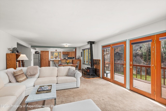 253 Liberty Ln, Woody Creek, CO 81656 - photo 18