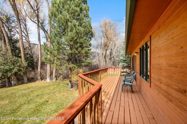 253 Liberty Ln, Woody Creek, CO 81656 - photo 14
