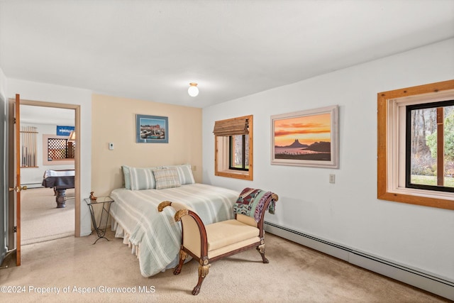253 Liberty Ln, Woody Creek, CO 81656 - photo 32