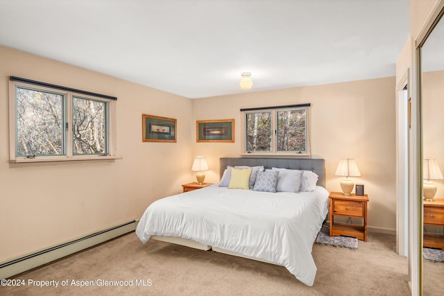 253 Liberty Ln, Woody Creek, CO 81656 - photo 30