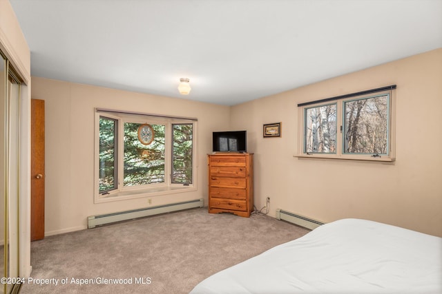 253 Liberty Ln, Woody Creek, CO 81656 - photo 31
