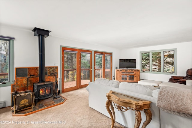 253 Liberty Ln, Woody Creek, CO 81656 - photo 19