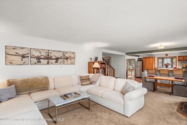 253 Liberty Ln, Woody Creek, CO 81656 - photo 17