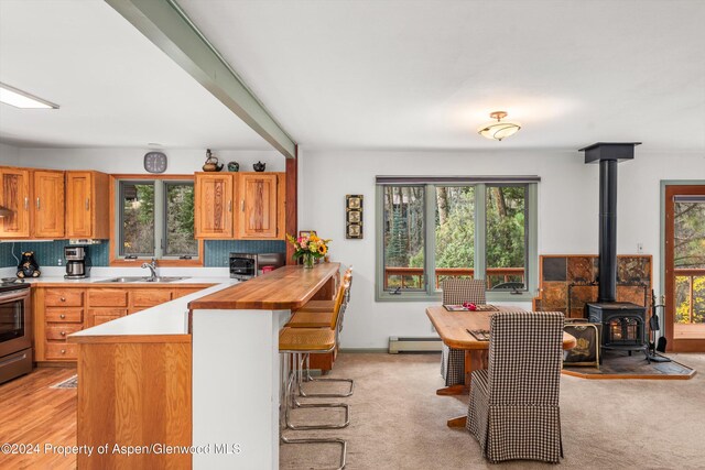 253 Liberty Ln, Woody Creek, CO 81656 - photo 23