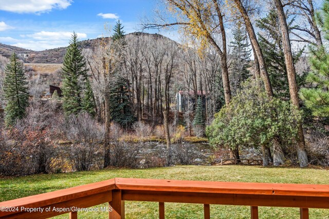 253 Liberty Ln, Woody Creek, CO 81656 - photo 16