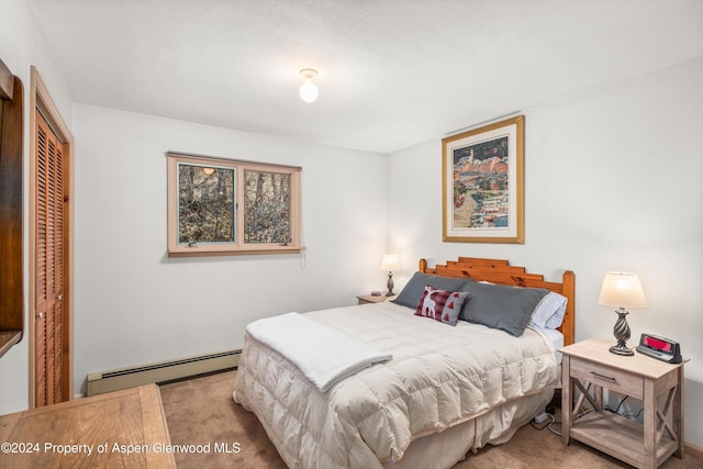 253 Liberty Ln, Woody Creek, CO 81656 - photo 34