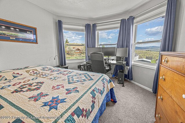 1321 Lecuyer Dr, Craig, CO 81625 - carpeted bedroom with baseboards, a textured ceiling, a desk, and a textured wall