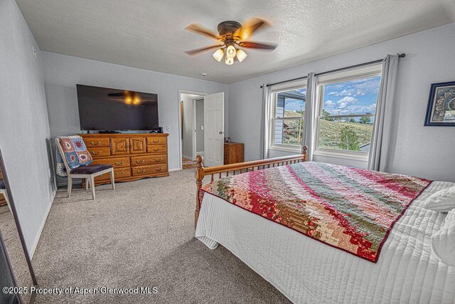 1321 Lecuyer Dr, Craig, CO 81625 - carpeted bedroom with baseboards, a ceiling fan, and a textured ceiling