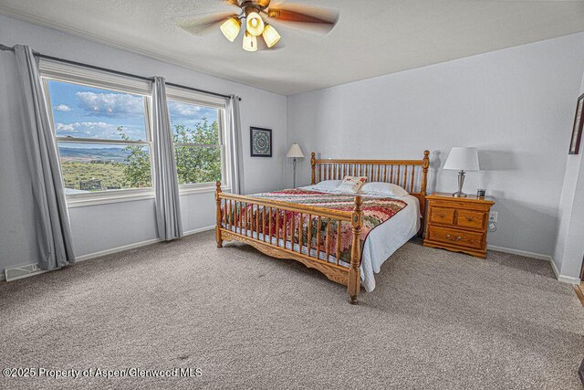 1321 Lecuyer Dr, Craig, CO 81625 - bedroom featuring carpet floors, ceiling fan, baseboards, and a textured ceiling