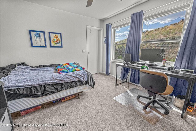 1321 Lecuyer Dr, Craig, CO 81625 - carpeted bedroom featuring a desk and ceiling fan