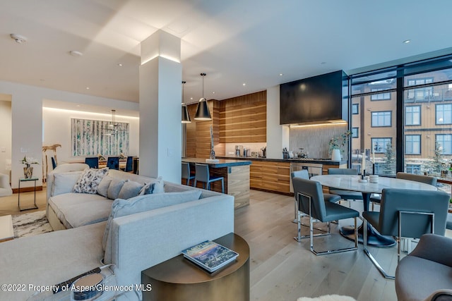 45 Wood Rd Unit 301, Snowmass Village, CO 81615 - living room featuring light wood-style floors and recessed lighting