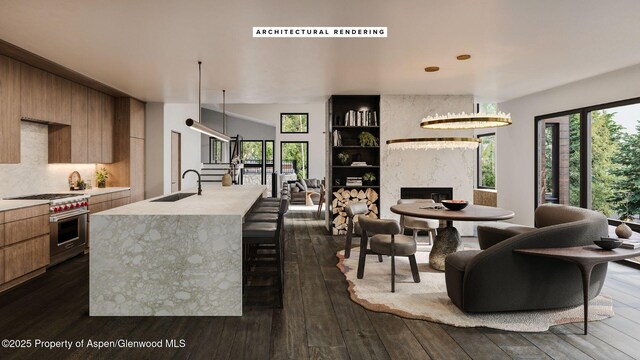 205 Larkspur Ln, Aspen, CO 81611 - photo 8