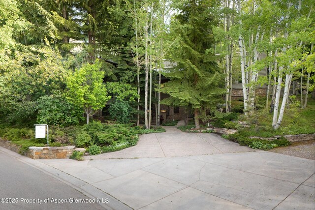 205 Larkspur Ln, Aspen, CO 81611 - photo 19