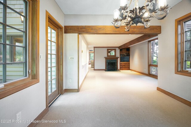 205 Larkspur Ln, Aspen, CO 81611 - photo 9