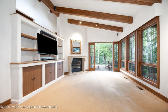 205 Larkspur Ln, Aspen, CO 81611 - photo 17