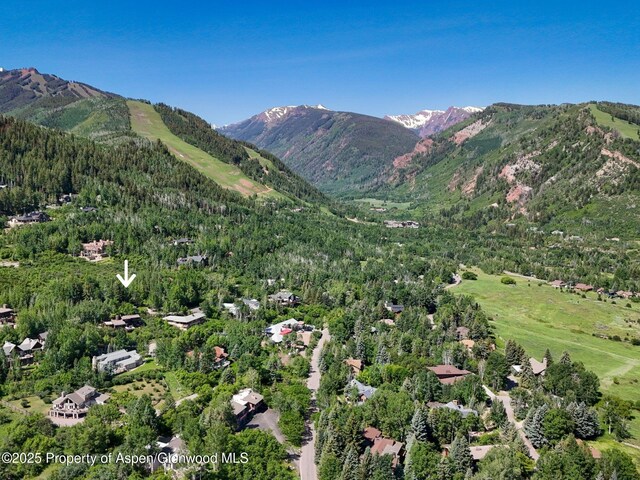 205 Larkspur Ln, Aspen, CO 81611 - photo 22