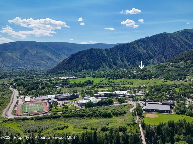 205 Larkspur Ln, Aspen, CO 81611 - photo 20