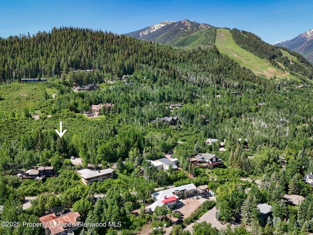 205 Larkspur Ln, Aspen, CO 81611 - photo 21