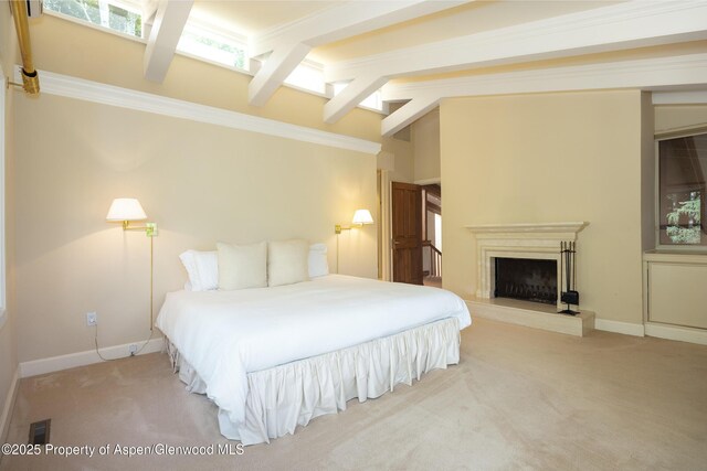 205 Larkspur Ln, Aspen, CO 81611 - photo 16