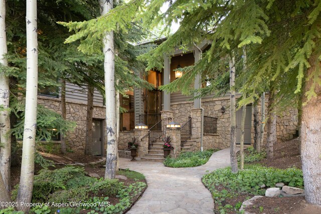 205 Larkspur Ln, Aspen, CO 81611 - photo 2