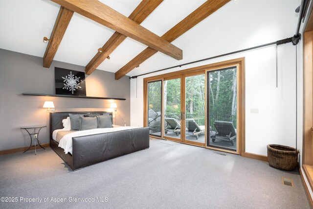 205 Larkspur Ln, Aspen, CO 81611 - photo 13