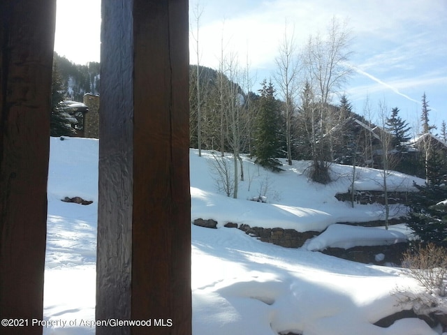 0075 Prospector Rd Unit 8405Summer Interest, Aspen, CO 81611 - view of snowy yard