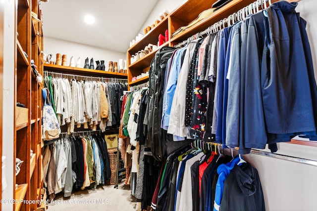 spacious closet featuring carpet flooring