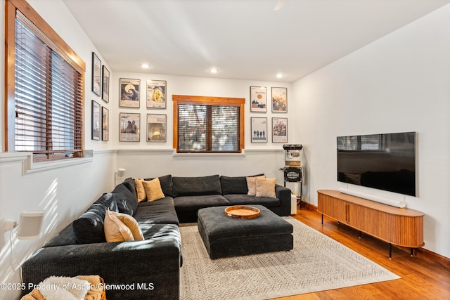 living room with wood-type flooring