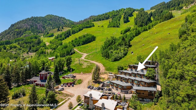 809 S Aspen St Unit 8, Aspen, CO 81611 - aerial view of a forest and a mountain backdrop