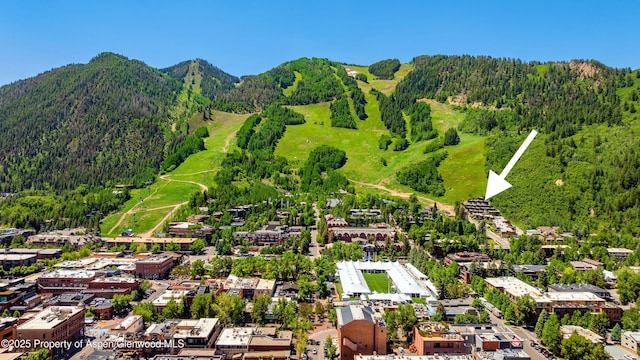 809 S Aspen St Unit 8, Aspen, CO 81611 - bird's eye view of a mountainous background and a forest