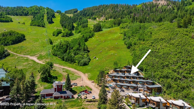 809 S Aspen St Unit 8, Aspen, CO 81611 - bird's eye view of a forest